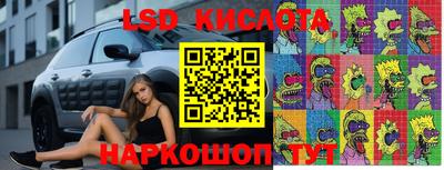 mdpv Гусев