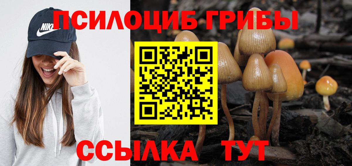 Галлюциногенные грибы ЛСД  Вход с VPN  Кашира 